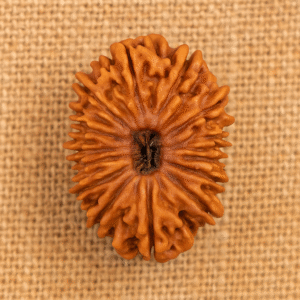 21 Mukhi Rudraksha – The Bead of Ultimate Wealth and Divine Grace