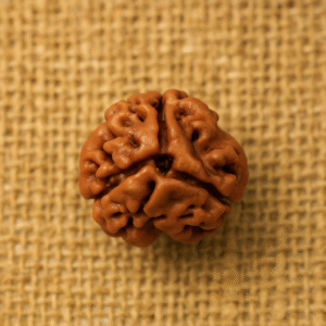 3 Mukhi Rudraksha – The Bead of Purification and Energy